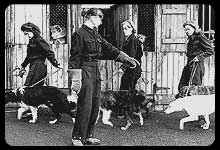 photographs of dogs being picked for training